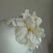 Grace Bloom Photo 26