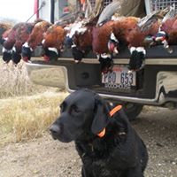 Andrew Herold Photo 3