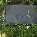 Richard Redd Photo 36