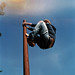 David Opp Photo 22