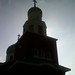 Steven Tolbert Photo 30