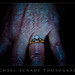Michael Schade Photo 34