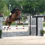 Eric Feng Photo 22