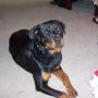 Cody Goins Photo 20