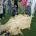 Gina Dyer Photo 32
