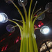 Von Ross Photo 26