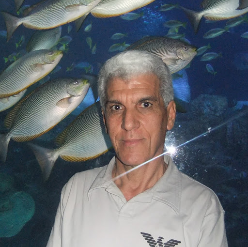 Mohammad Habibi Photo 29