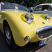 Michael Healey Photo 44
