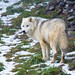 John Hofmann Photo 45
