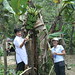 Hai Ni Photo 17