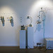 Adam Browning Photo 51