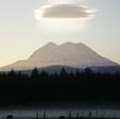 Cathy Reed Photo 18