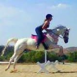 Anne Taylor Photo 11