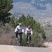 Bill Shaver Photo 28