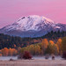 Adam Estes Photo 37