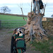 Catherine Sheffield Photo 26