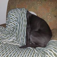 James Saale Photo 1