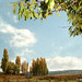 Jose Cano Photo 46
