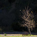 Debra Nicholas Photo 25