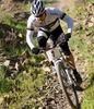 Bill Brock Photo 34