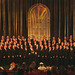 Susan Cornelius Photo 29