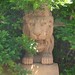 David Park Photo 57