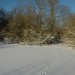 Diane Kempen Photo 16