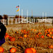 Lisa Mccall Photo 39