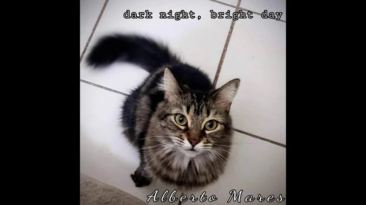 Alberto Mares Photo 25