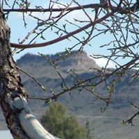 Roger Hersman Photo 1