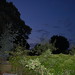 Robin Standish Photo 22