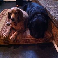 Christine Eady Photo 5