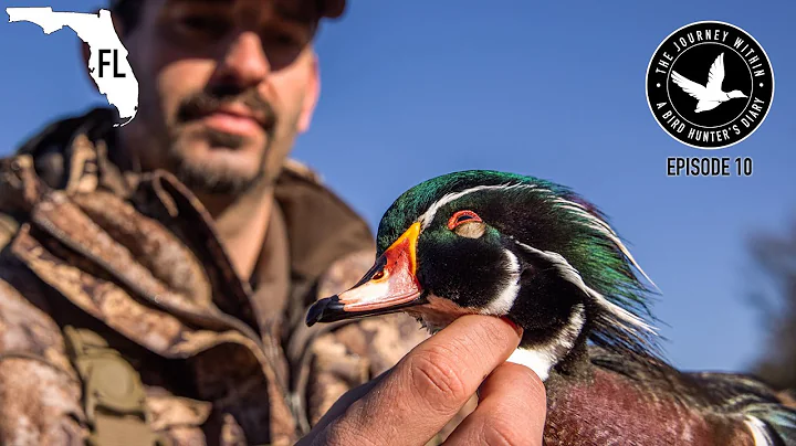 Mark Petterson Photo 21