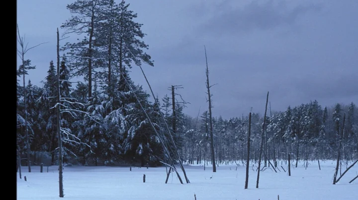 Mark Audet Photo 19