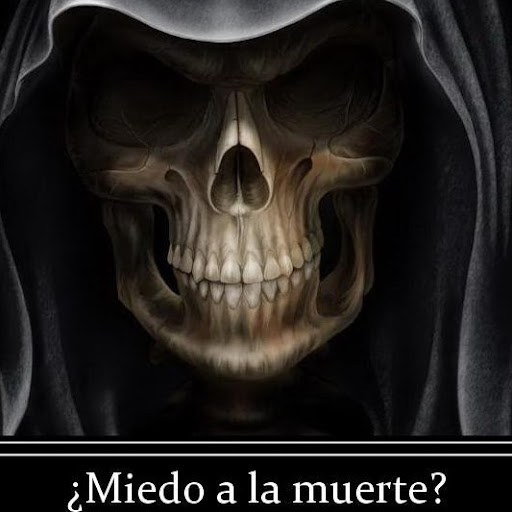 Ronald Ortiz Photo 14
