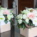 Dianne Tanner Photo 32