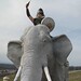 Mark Cline Photo 46