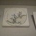 Yang Gao Photo 31