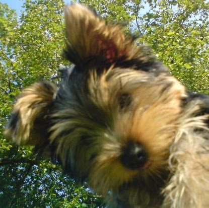 Amy Clyde Photo 8