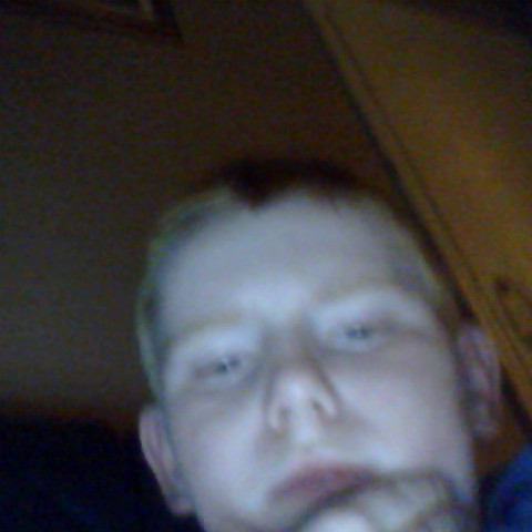 Harry Locke Photo 11