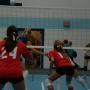 Colleen Meyers Photo 22