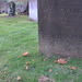 Dean Burrows Photo 29
