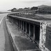 Frank Hyman Photo 21