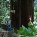 Gary Buzzard Photo 19