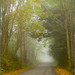 Edmund Tuttle Photo 11
