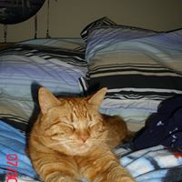 Rusty Martin Photo 6