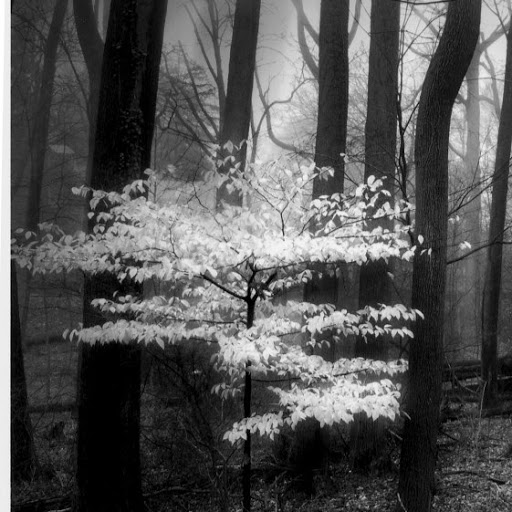 Lynne Taylor Photo 14
