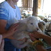 Martha Owen Photo 33