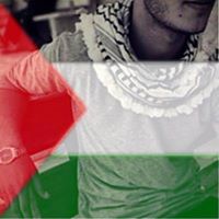 Tareq Hamed Photo 2