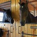 Bruce Carmen Photo 21